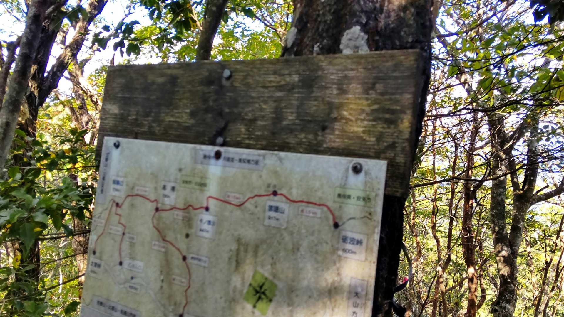 で、いきなり御墓山（おはかやま）山頂
登山口に向かうと
何やら山歩きをしそうなご夫婦発見👁✨
ご一緒に歩かせていただいたのです🙌
年取って図々しくなりました😆
