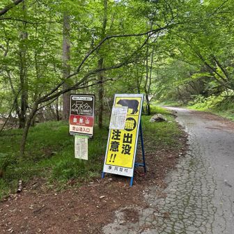 百名山恵那山登山口

登山口では　ヘルメットを装着した団体ツアーの方々が大勢いらしてて　責任者の方が近寄っていらして「この辺り熊の出没が多発してるので注意⚠️して下さいね」と声をかけて下さった🙏

「ヘルメットが必要な箇所があるのですか？」と聞いたら「熊に襲われた時の対策です🐻」との事(最近登山ツアーは熊対策ヘルメット装着義務に驚いた）