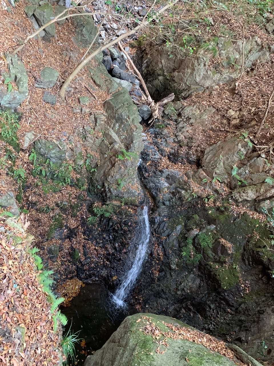 綺麗な滝