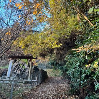 気を取り直して出発！