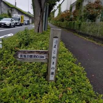 いったん町中に
この後もそうだったが、この「よこやまの道」の道標が至るところにあって、迷わないようになっている