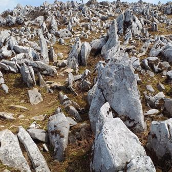 経塚山下ったところ。カルストの岩がいい感じ。