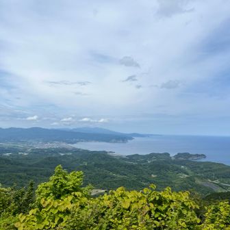 薄曇りだが、けっこう日差しが強い。