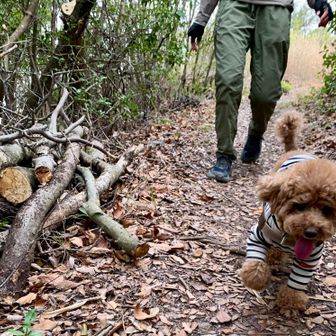 めちゃかわいい😍