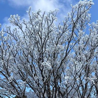 青空に映えるね✨