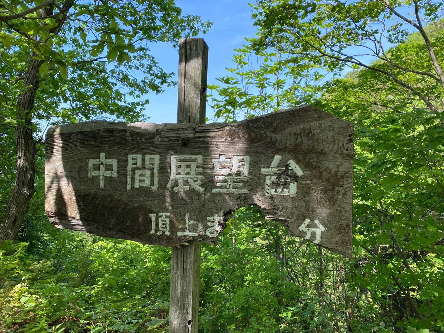 中間地点