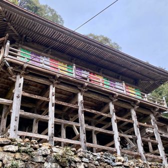 一旦外に出てふぅー。
はぁー。なんの迫力か分からんが怖い。