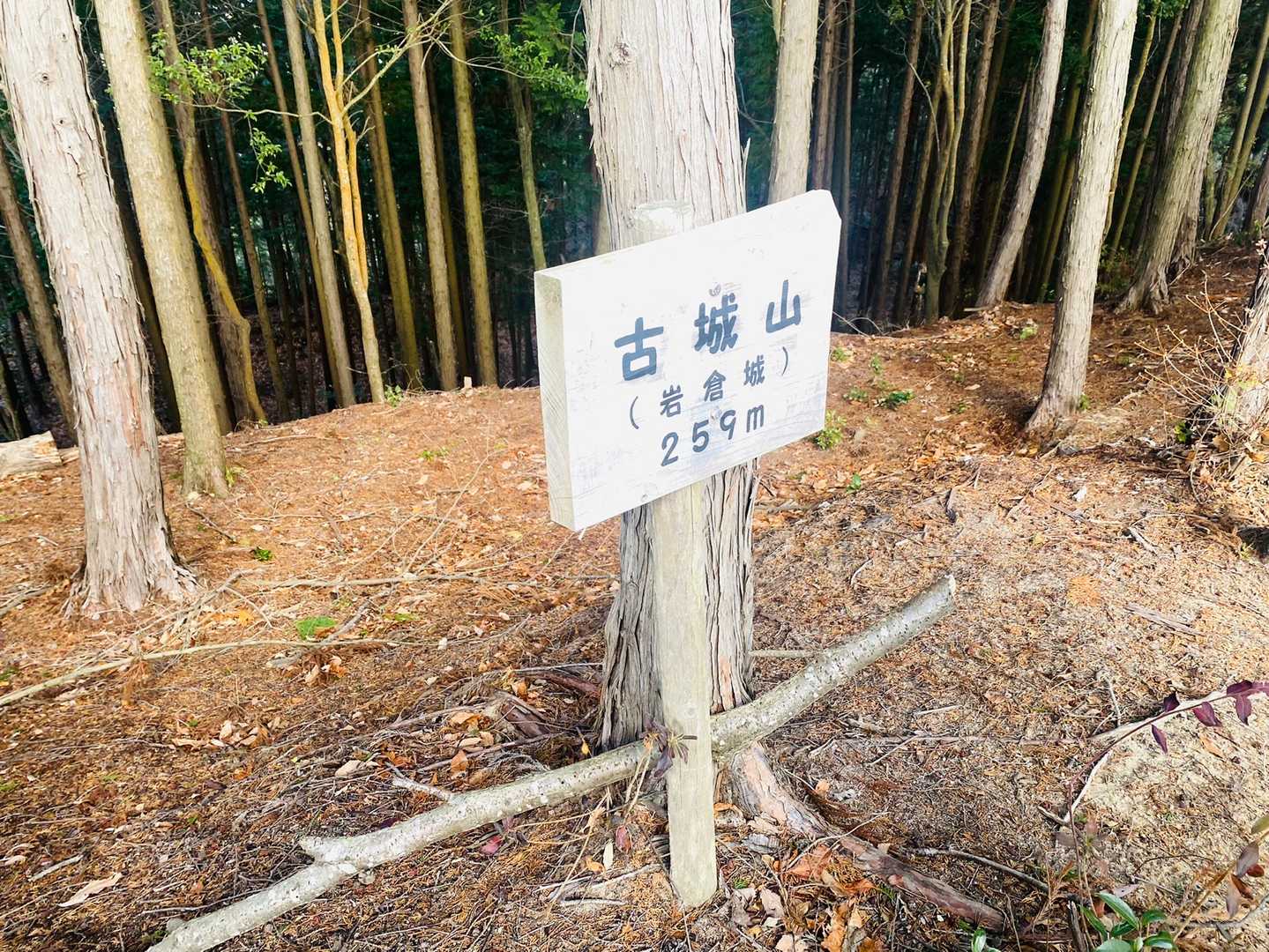分岐から程なくして古城山に到着します