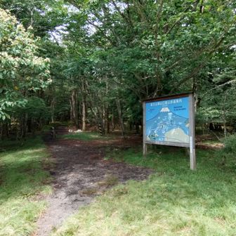 須山登山歩道入り口