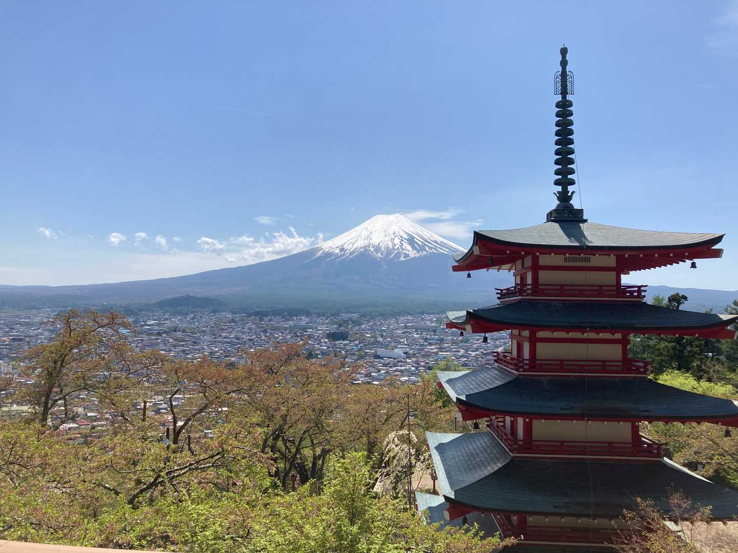 定番の絶景。桜は咲いてないけどベストショット。