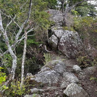 千丈寺山の最後の登りは急登かつ岩場。