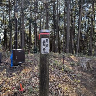 相模湖駅へ向かう。このあと激下り