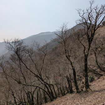 振り返って御池岳
自宅から少し遠いから
次来るのはいつになるかな…

帰りの鞍掛峠でライダー🏍️の方に沢山お会いしました。
カーブ多いので安全運転🚙👍