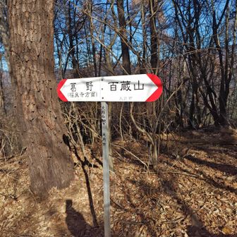 さあ、頑張って登るぞー