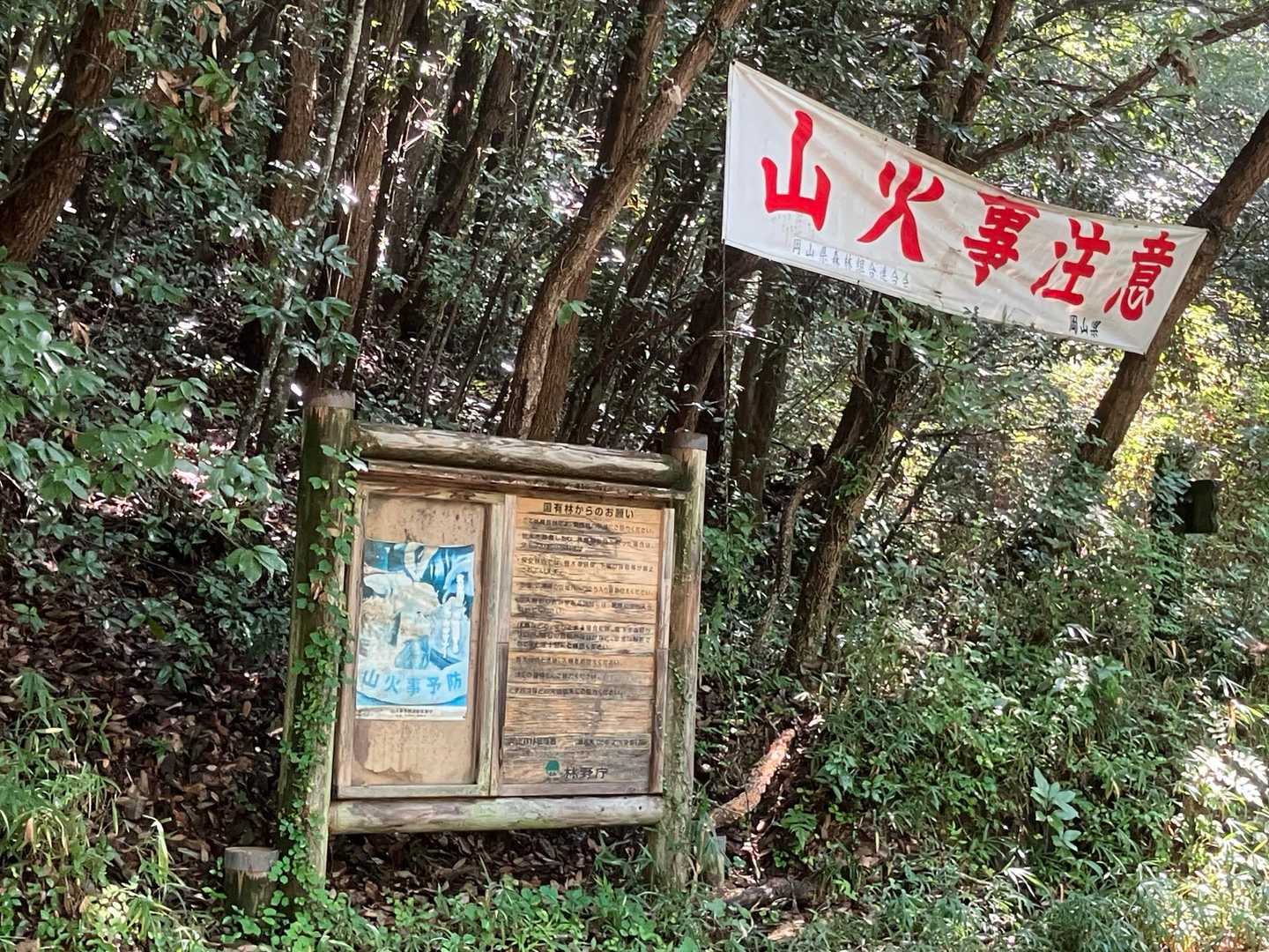 トイレコース誰もおらん