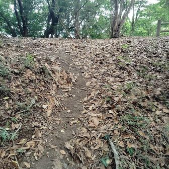 あっ❣️  そこ行きたい   後なん歩？  右に行けば作礼山へ  その途中にはミヤマウズラ👻が咲いてるらしいけど、池にはジュンサイの花が見れるらしいけど、、、