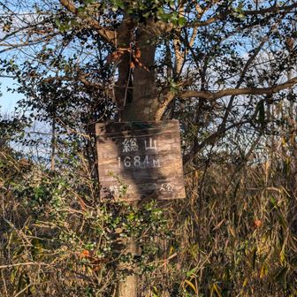 エッ1684m！？…って、一瞬なっちゃう(笑)