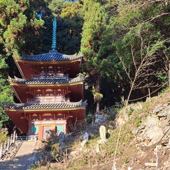 見たかった三重塔❗