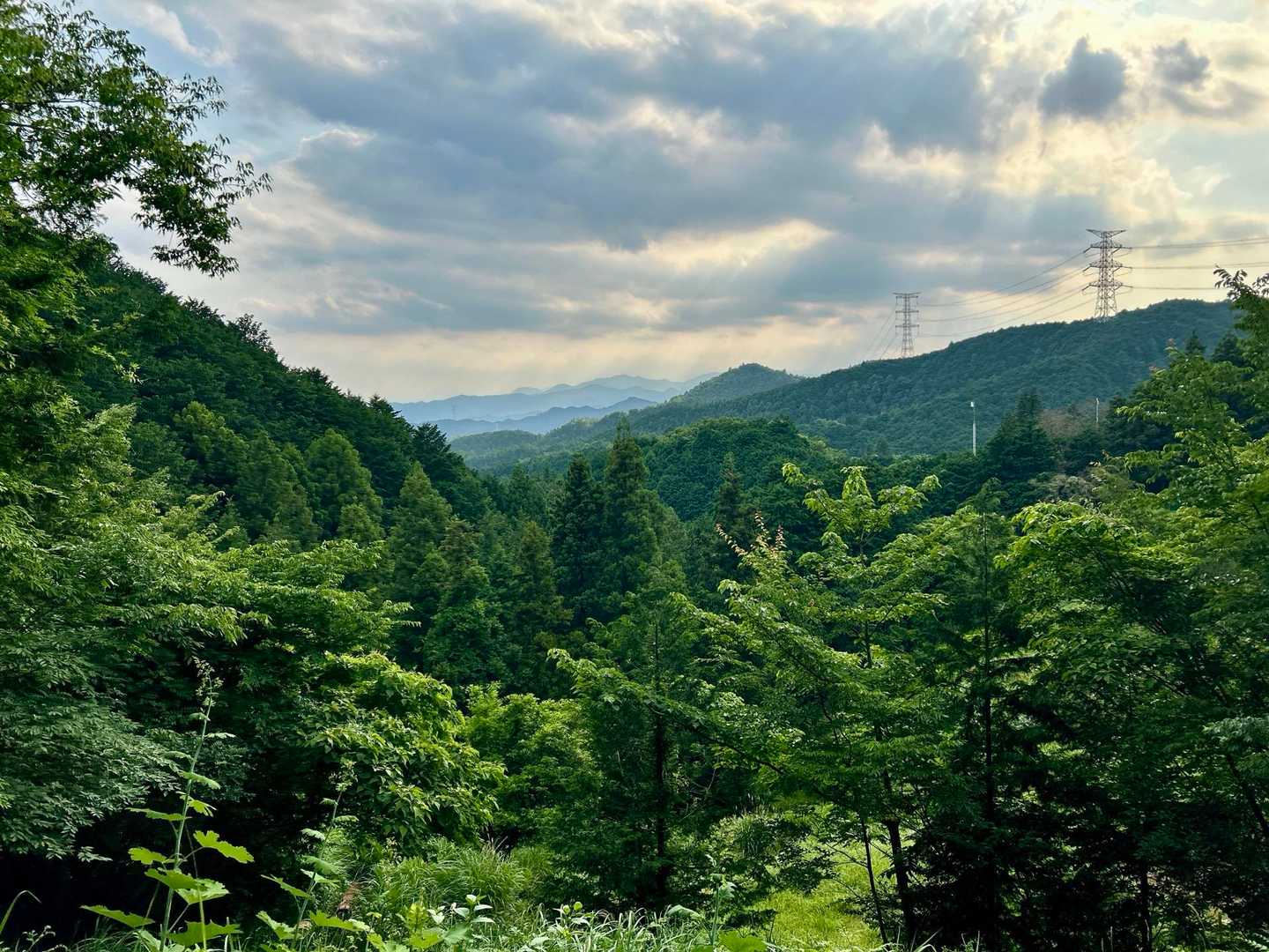 日和田山登山口-金刀比羅神社-日和田山-高指山-小瀬名富士 往復コースの写真