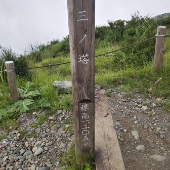 ハァ…ハァ…