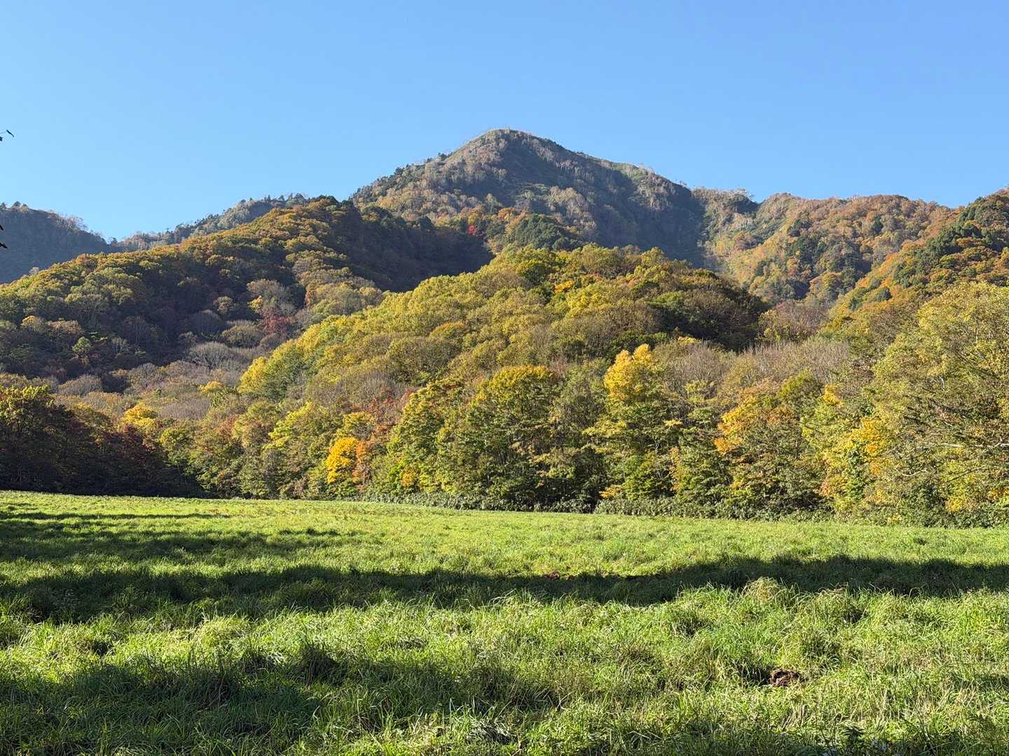 登った五地蔵山の麓も紅葉真っ盛り🍁