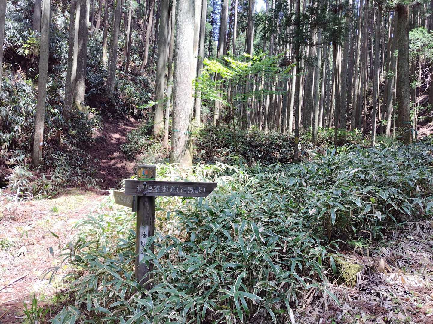 伊勢本街道に無事下山✨