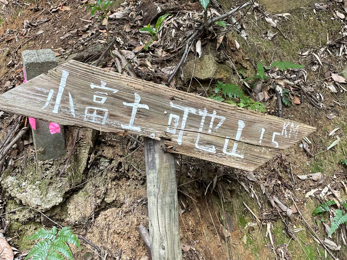 道は分かり易いです