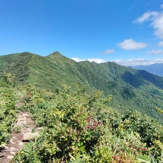 灰吹山からはかなり歩きやすくなりました。