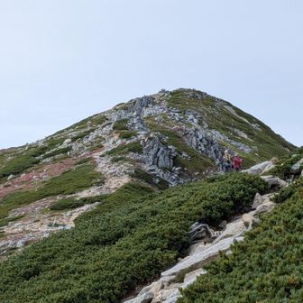 木曽駒ヶ岳山頂手前。