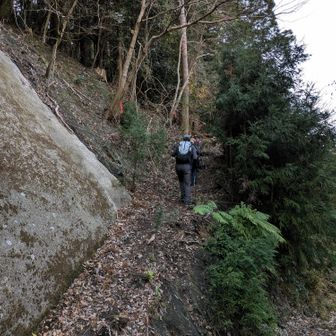 林道から登り返し。
しれっと70mくらい登ってたわけ😭