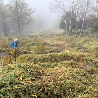 呆れるほどの急斜面、転ばぬようにズンズン歩いて行く。