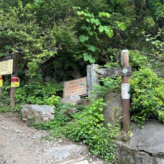 名栗ダムから1キロ位で白谷橋登山口です。