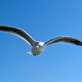 ガレージ欲しい