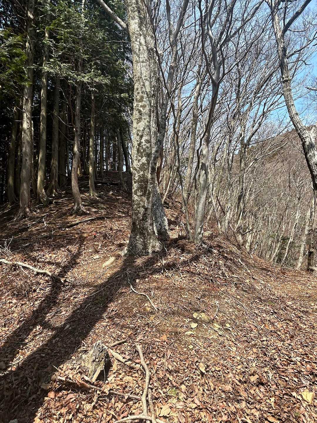 次のポイントは
コメントに従って左に登ったけど
右のフラットに進んでも
合流します😅
体力温存のため、ぜひ右へ