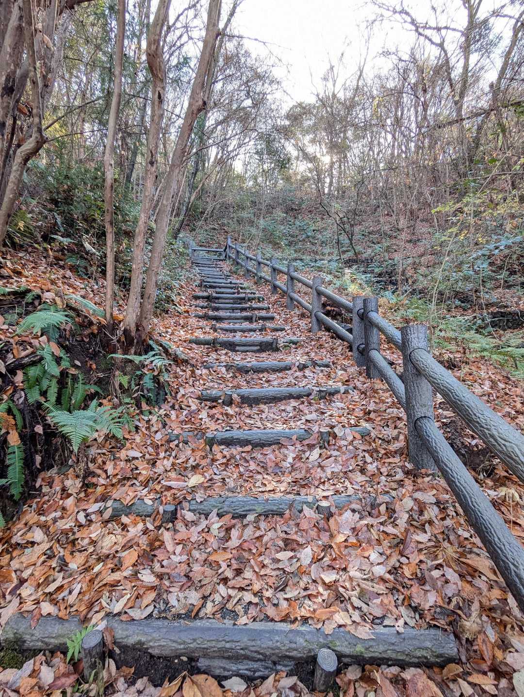 牟礼山 周回コースの写真