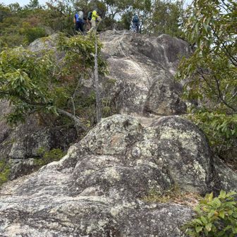 ところどころ岩場
グリップが良いので歩きやすい