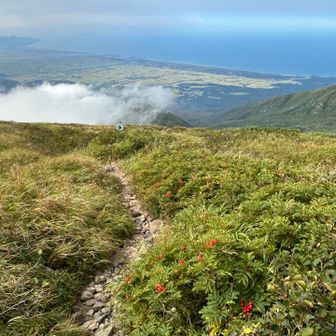 いいねえ、すばらしき下山道