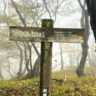 茶ノ木畑峠を越えて