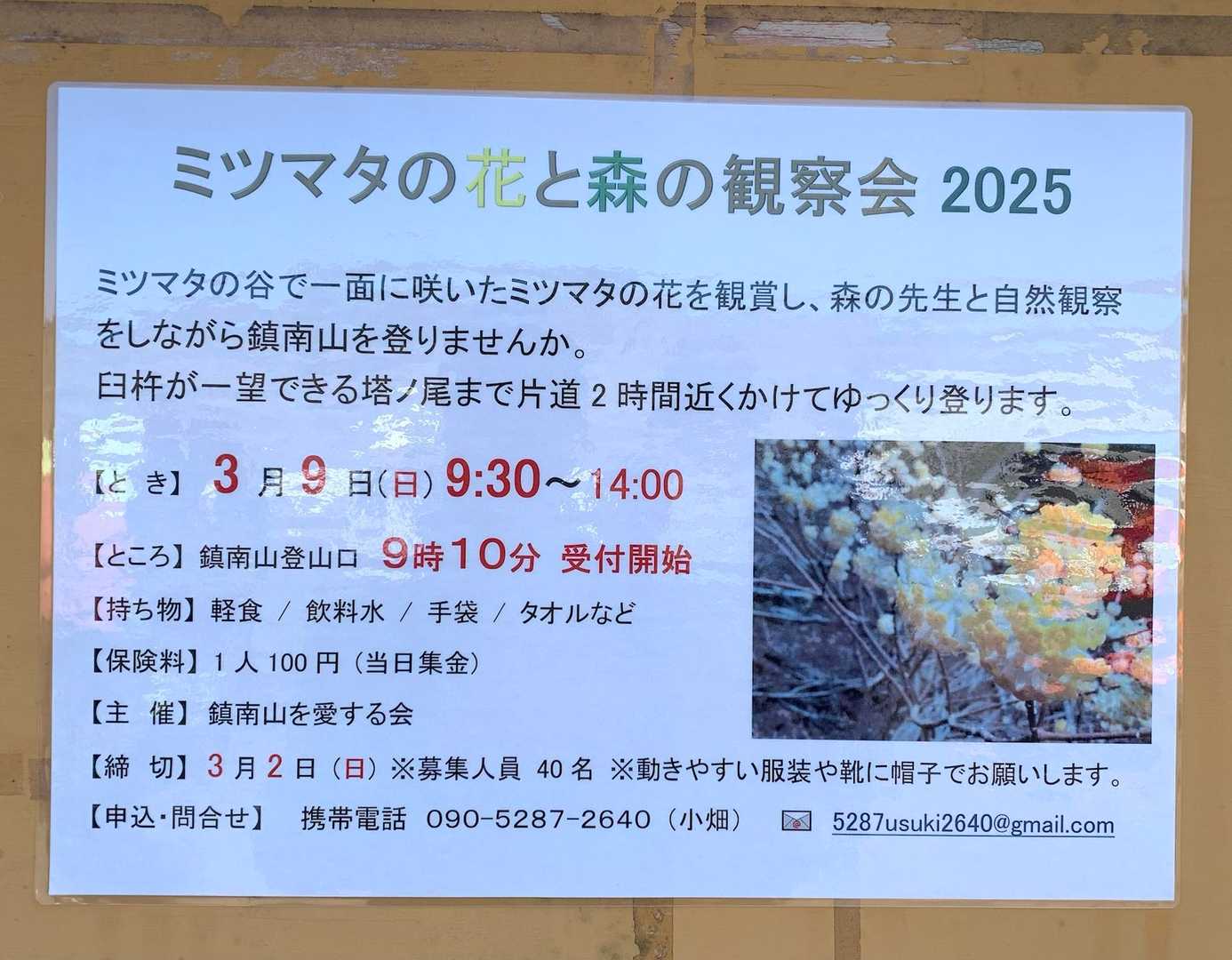 今日はこれです。
お手伝いさせていただきます。
ほぼ何もしませんでしたが😅