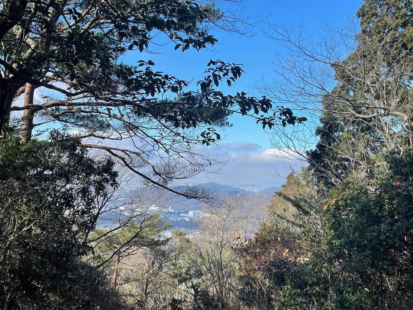 道樹山-大谷山-弥勒山 往復コースの写真