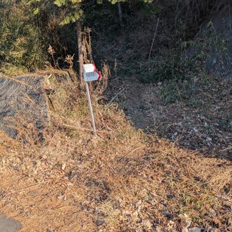 そしてロードに出てから、冠羽（あたまの羽）を描くために聖武連山登山口まで行き　また戻る