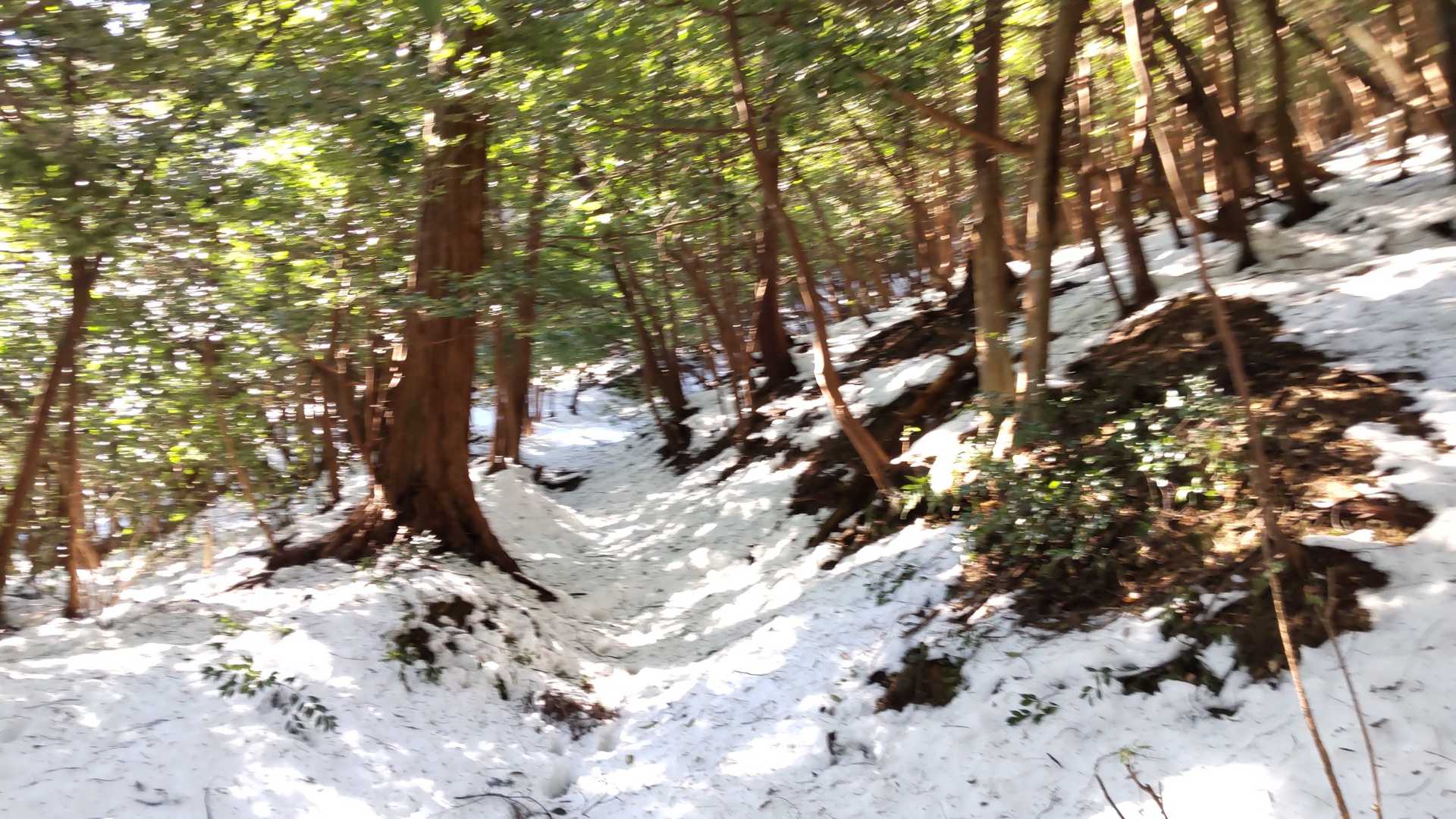 低山だから雪無いと思ってた