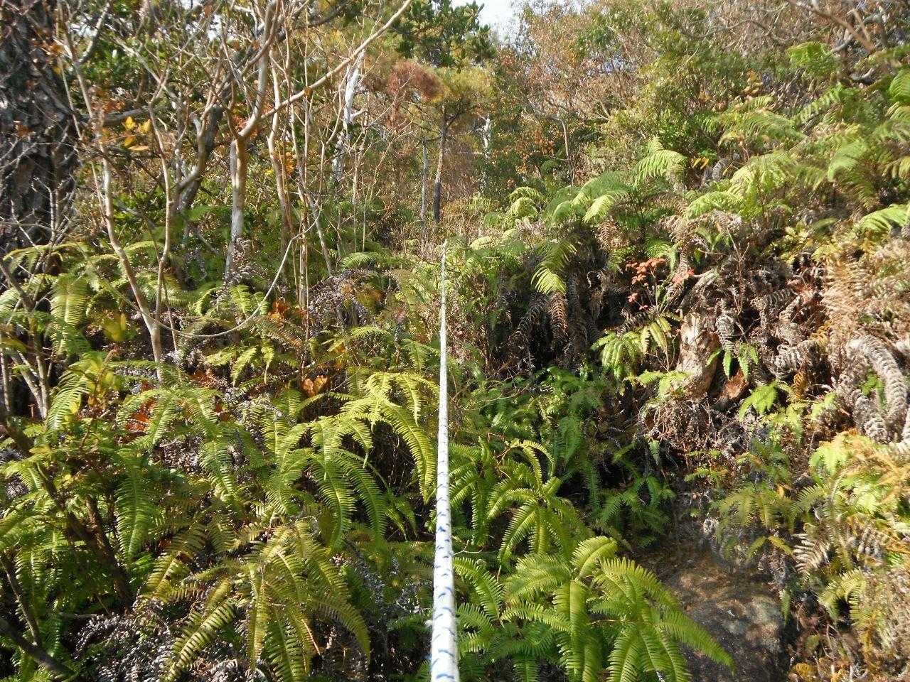 尖がった山頂を目指すのにもロープを使って登ります。
