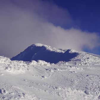 晴れてたのはここまで…
この後一気にガスガス
山頂まであと少しだったのに🥺