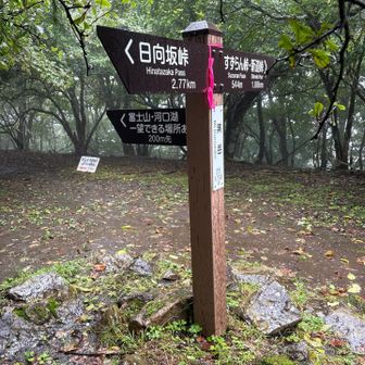 案内標識と兼用の山名標識も。
