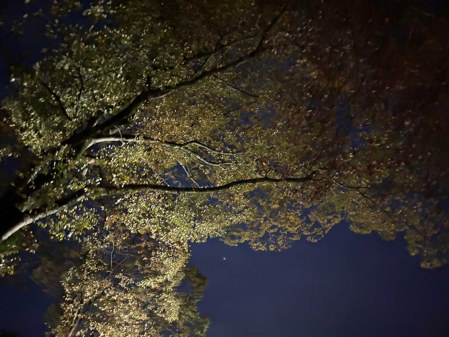 真っ暗🌃