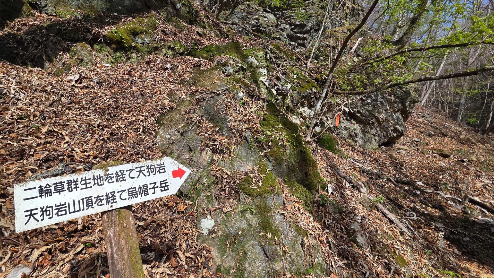こちらから天狗岩山へ向かいます