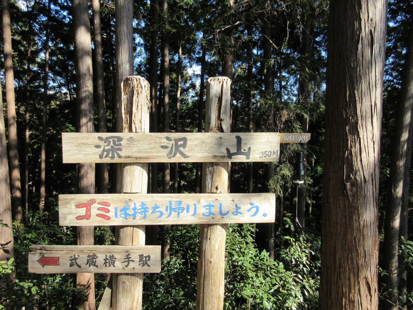 深沢山 350m