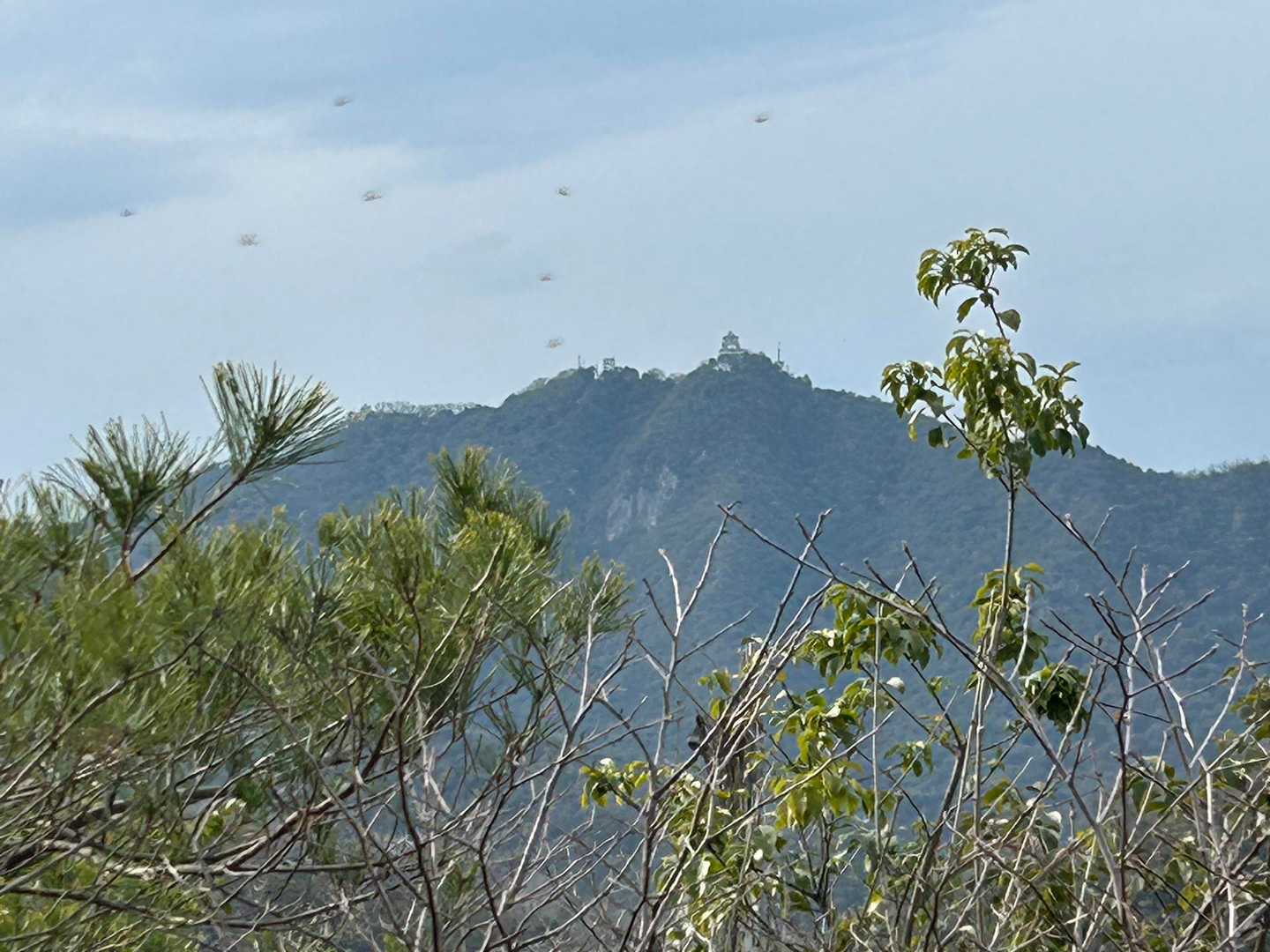 サプライズあり❣️

体力も気力も限界…😵
最後尾をノロノロ登山🐢🐢🐢

後ろを振り向くと走ってくる人がいる🏃‍♂️‍➡️
百々ヶ峰周辺のお山を縦走して金華山GTルートに戻ってきたつき君でした😄