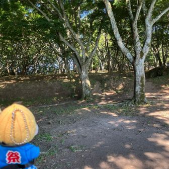 暑いので休憩そこそこに下山開始